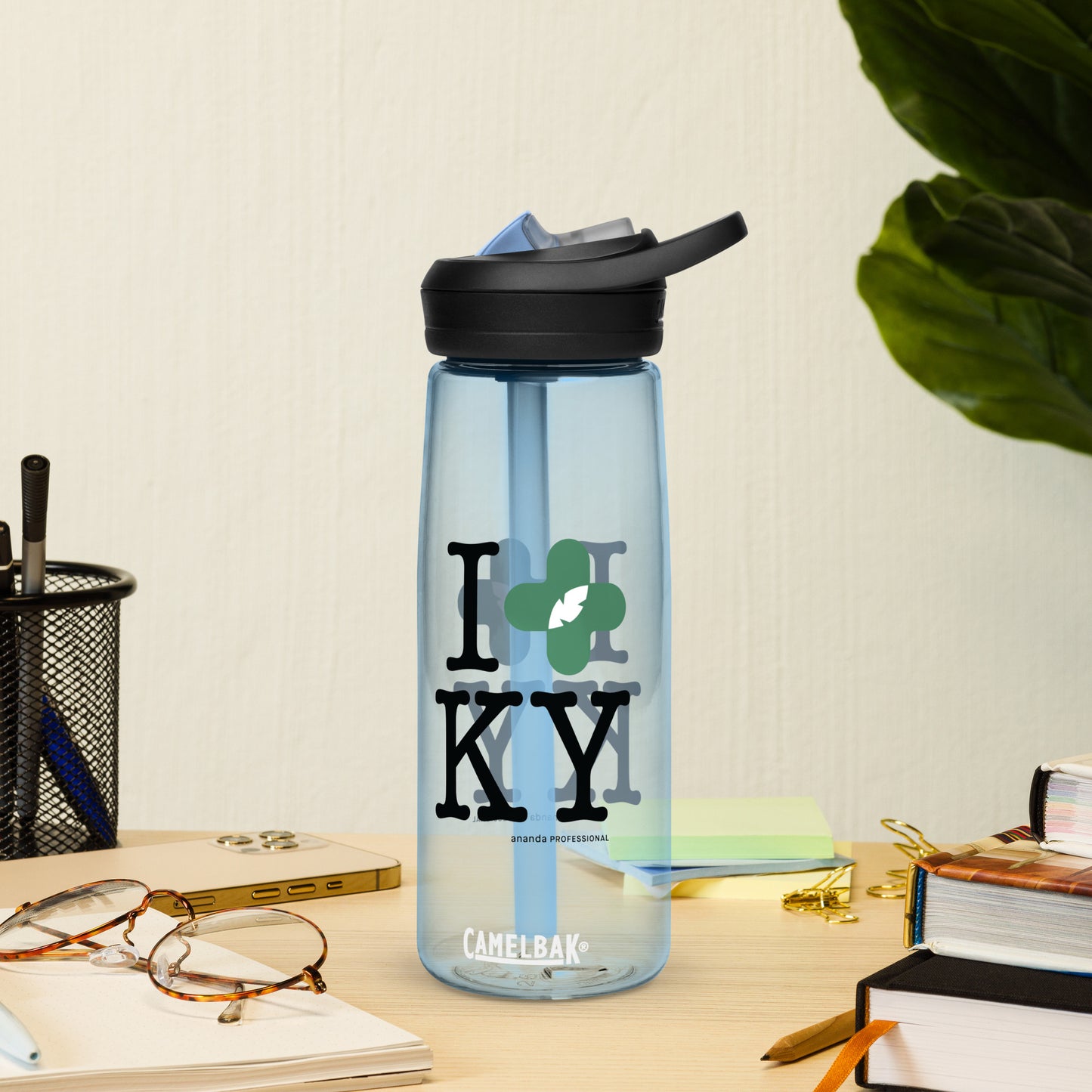 Sports water bottle