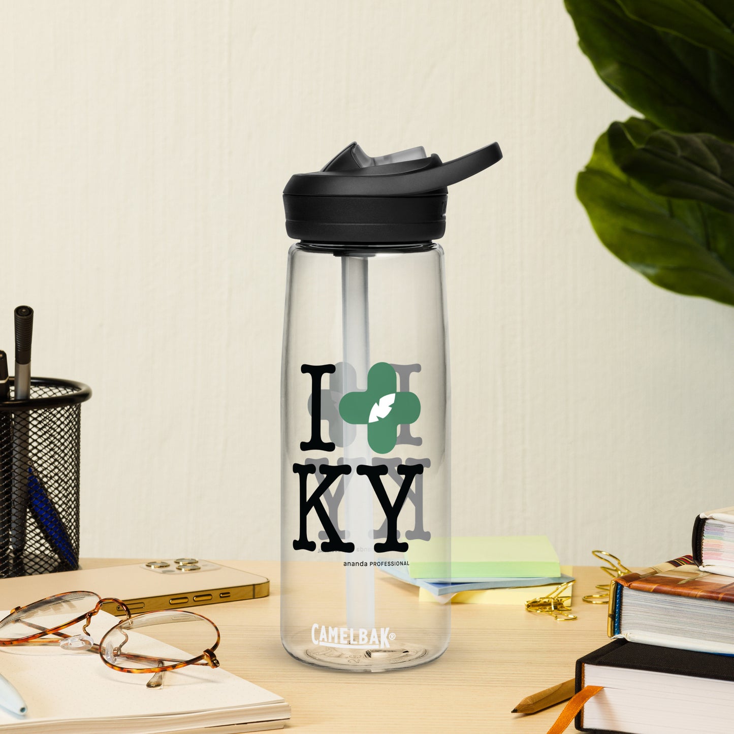 Sports water bottle